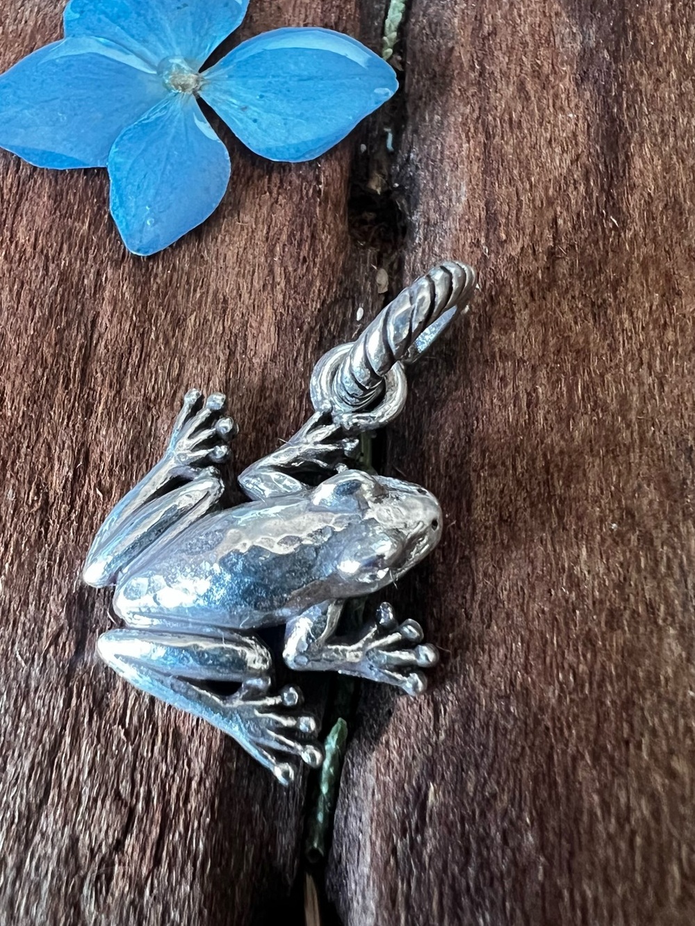 BRIGHTON Animal Flog Pendant Dangle Zoo Charm Bead Magic